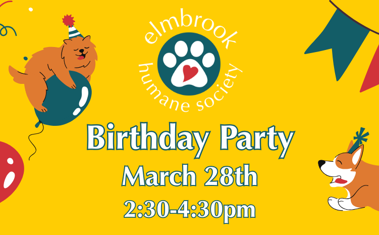 Birthday Party - March 28th, 2:30-4:30pm